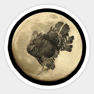 Romantic turkey with bat at night in the moonlight Sticker